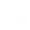 Insights Outdoors